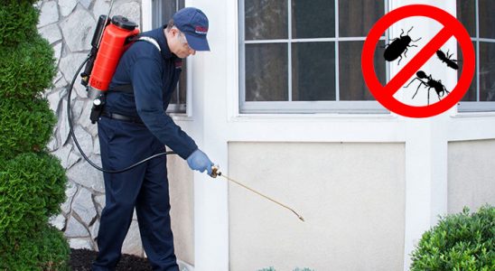 Akçakent Gümüşkurt İlaçlama böcek ilaçlama ve haşere kontrolü — ilaclama-tr.com